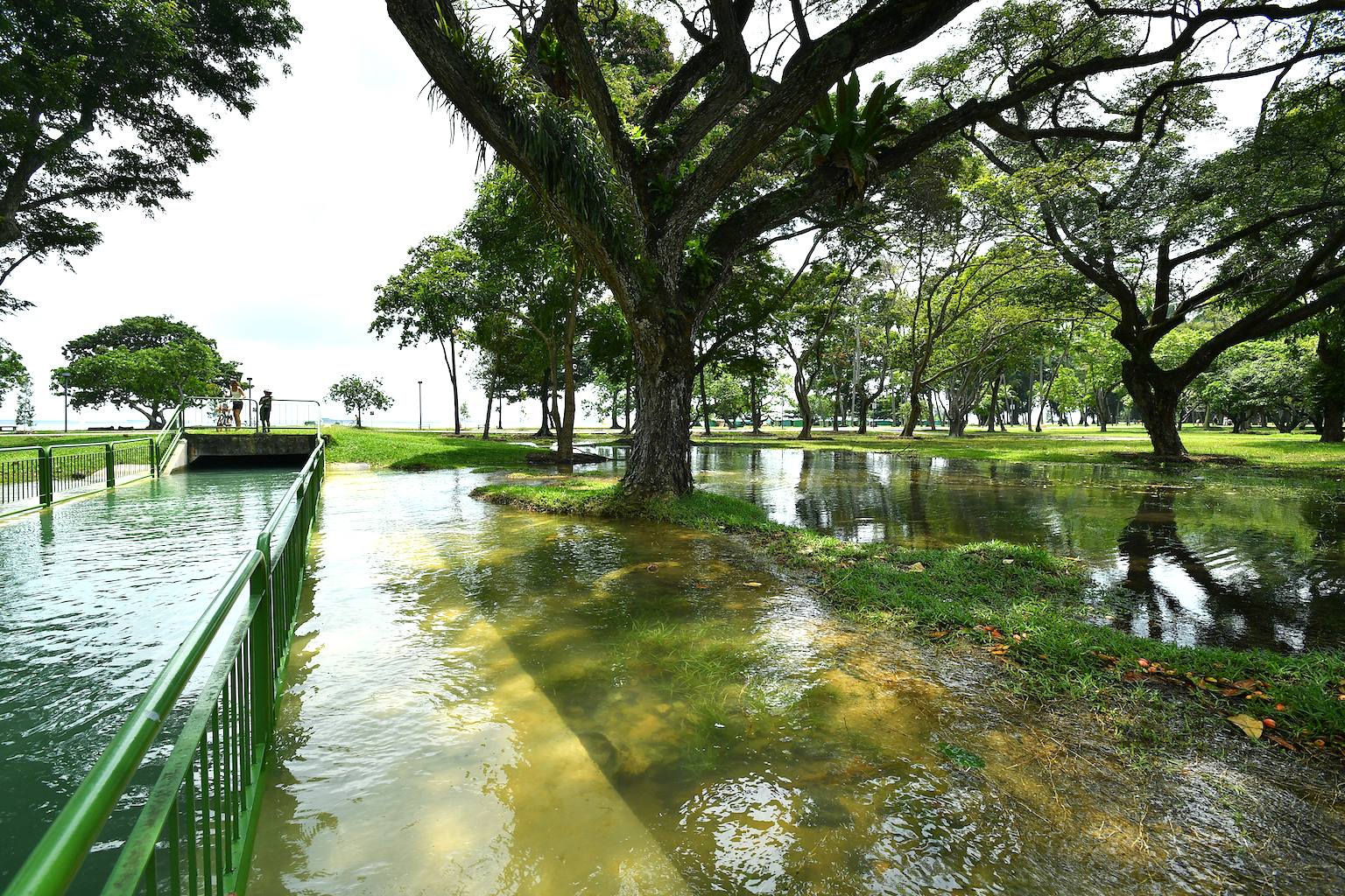 What if East Coast Park and other coastal areas in Singapore go under water? The Straits Times